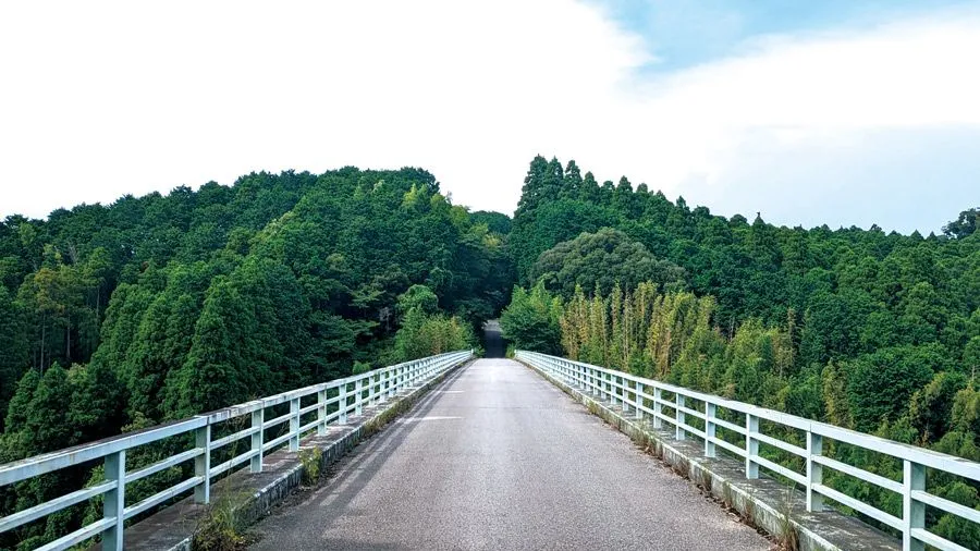 長柄町の森を抜ける道